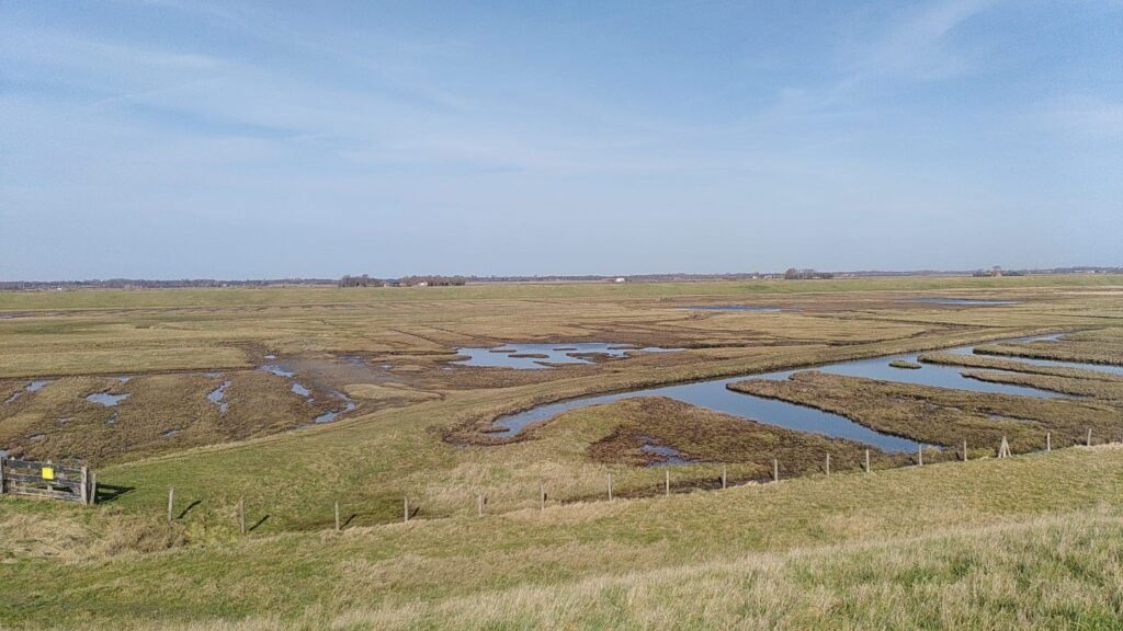 Zoute kwel achter een dijk in Zeeland (eigen foto PMC)