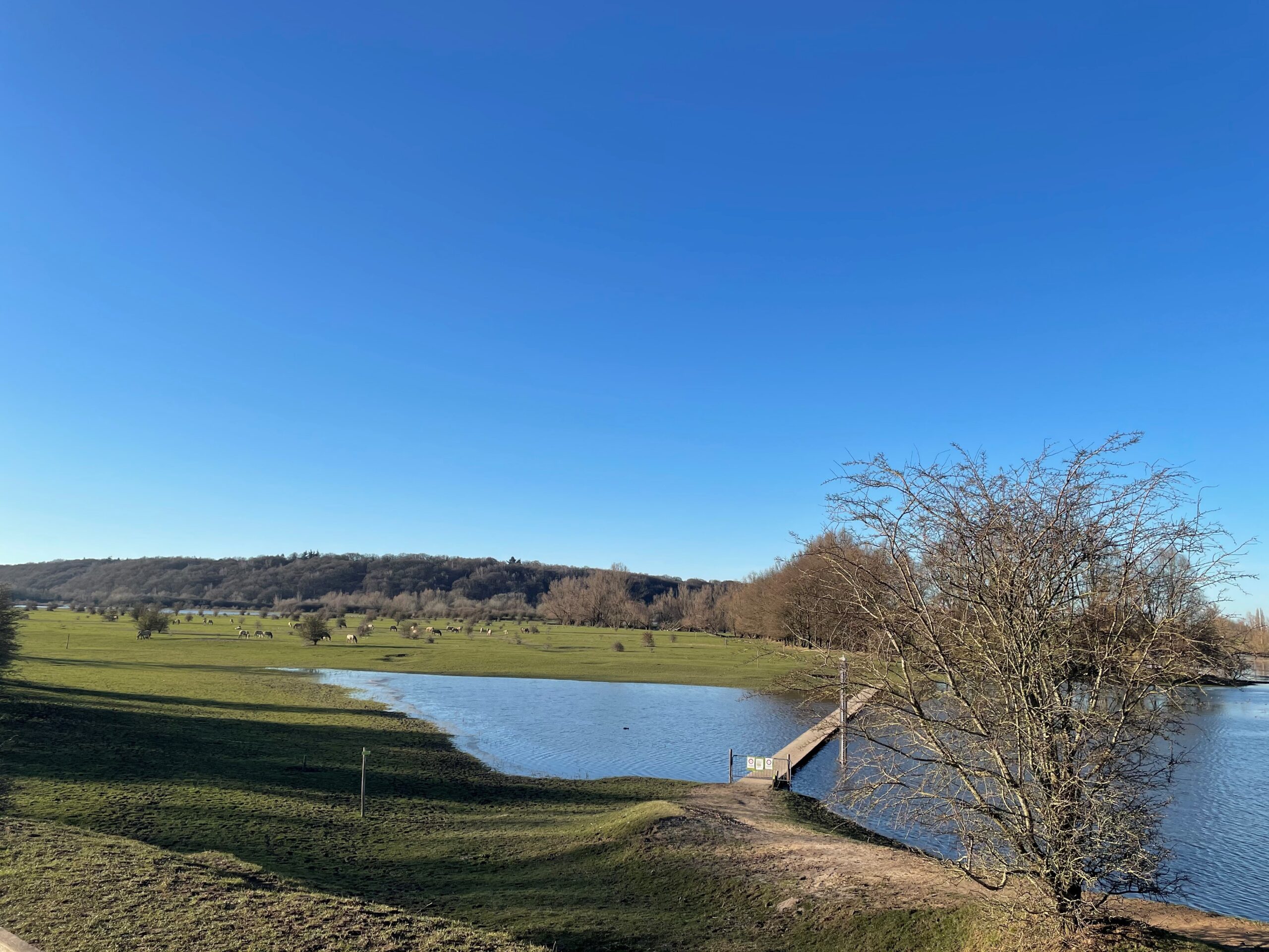 MvD Blauwe Kamer natuurgebied bij Rhenen eigen foto MvD Blauwe Kamer natuurgebied bij Rhenen eigen foto
