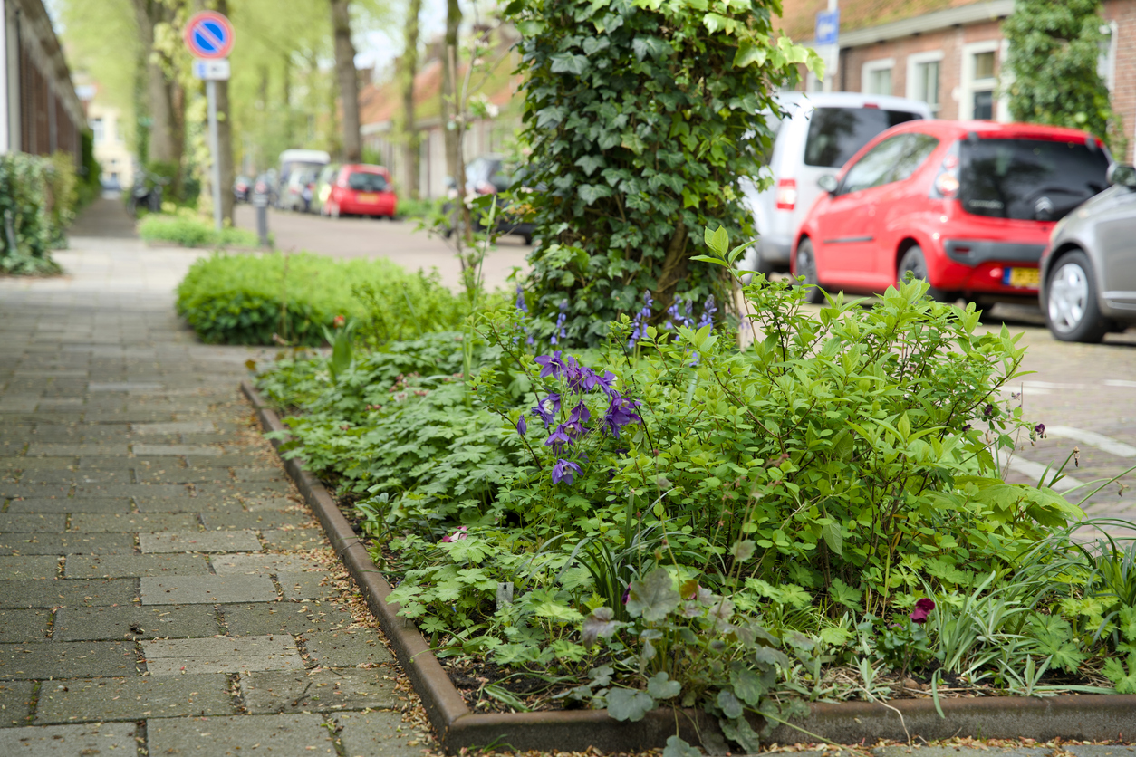 Urban gardens in the city of Groningen