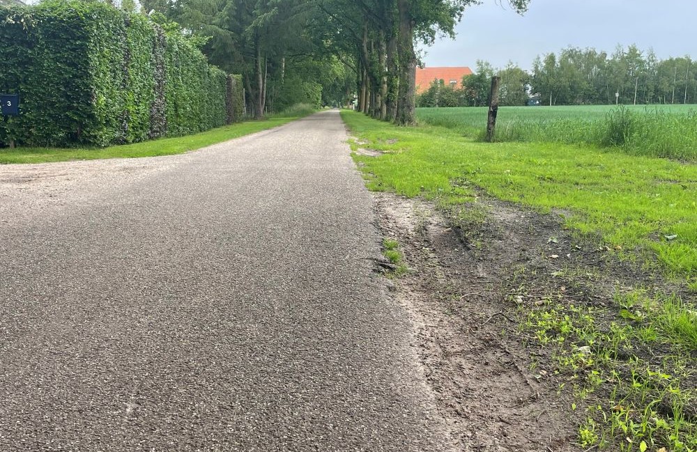 Kapotgereden berm