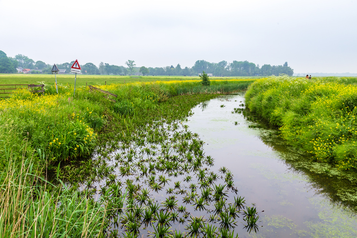 Landscape of Nature reserve De Onlanden in Groningen in  The Netherlands