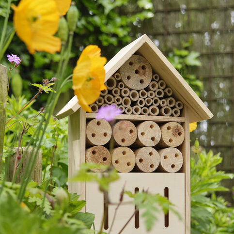 An insect hotel or bee hotel in a summer garden. An insect hotel is a manmade structure created to provide shelter for insects in a variety of shapes and sizes and materials.