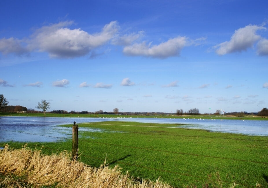 View over floodplains of river Ijssel, Overijssel, Netherlands