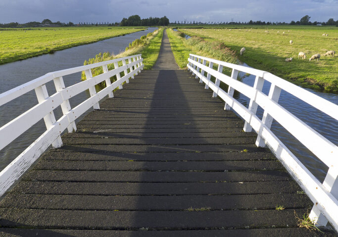 A white wooden bridge in the Jisperveld, the Netherlands