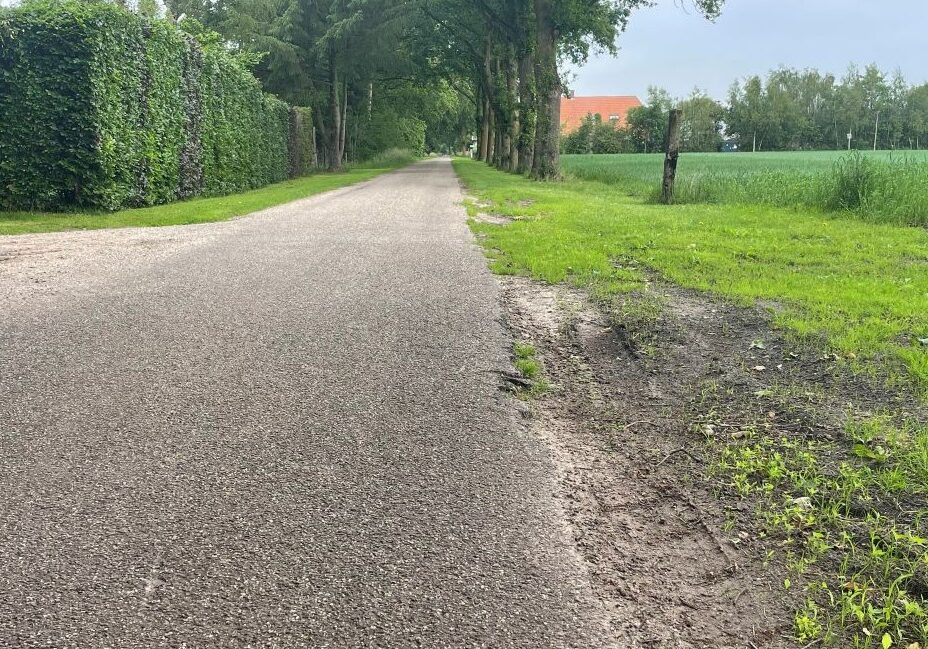 Kapotgereden berm