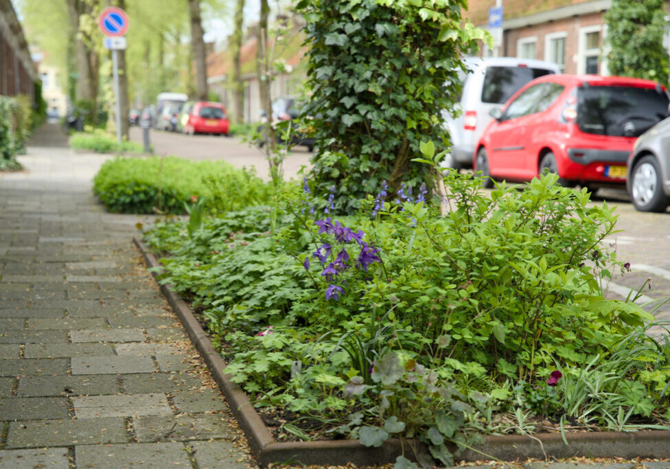 Urban gardens in the city of Groningen
