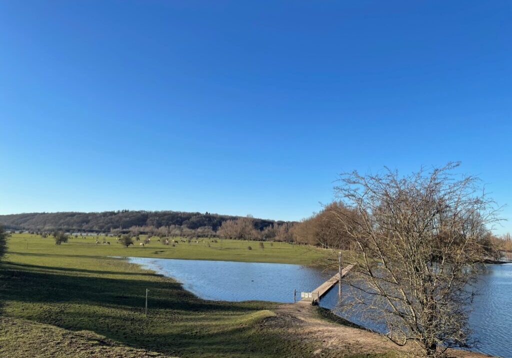 MvD Blauwe Kamer natuurgebied bij Rhenen eigen foto MvD Blauwe Kamer natuurgebied bij Rhenen eigen foto