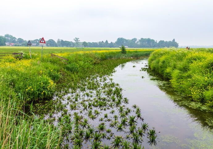 Landscape of Nature reserve De Onlanden in Groningen in  The Netherlands